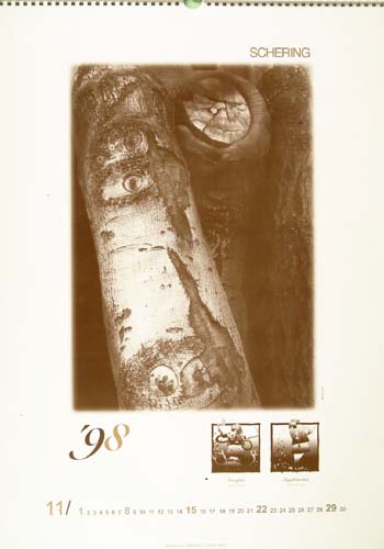/galerie/img/11.SCH.jpg