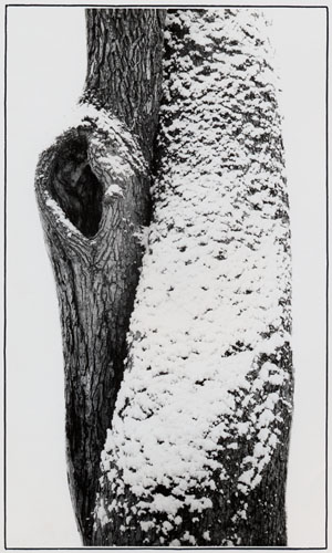 /galerie/img/22.torzo.jpg