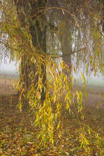 /galerie/img/26.park.jpg