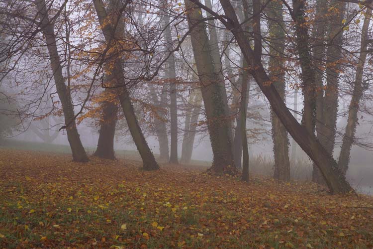 /galerie/img/27.park.jpg