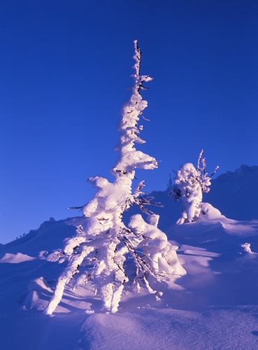 /galerie/img/30.krkonose.jpg