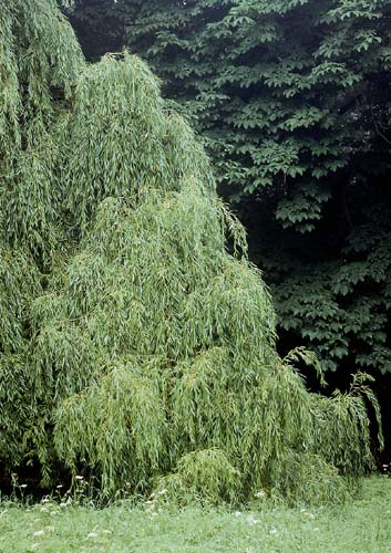 /galerie/img/32.park.jpg