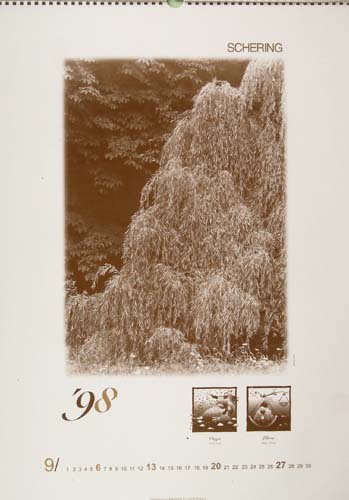 /galerie/img/9.SCH.jpg